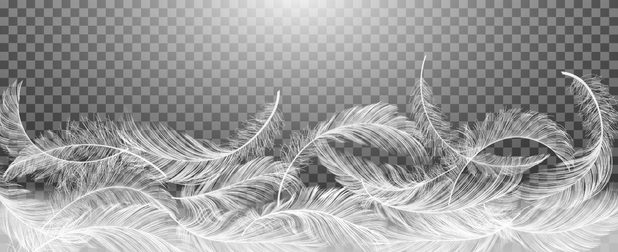 Falling feathers Royalty Free Vector Image - VectorStock