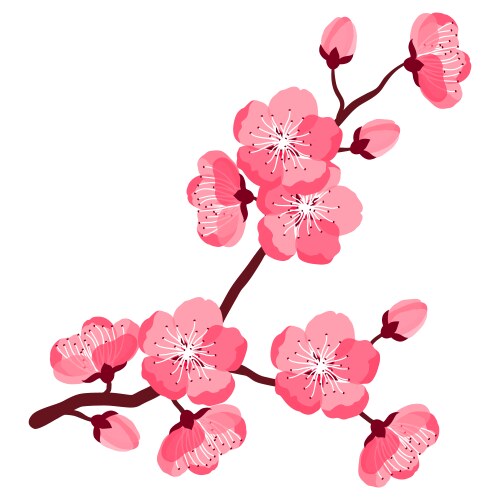 Beautiful sakura or cherry branch vector image