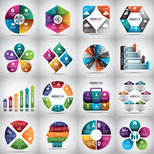 infographics diagrams chart vector