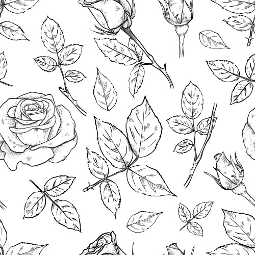 hand drawn rose seamless pattern vector