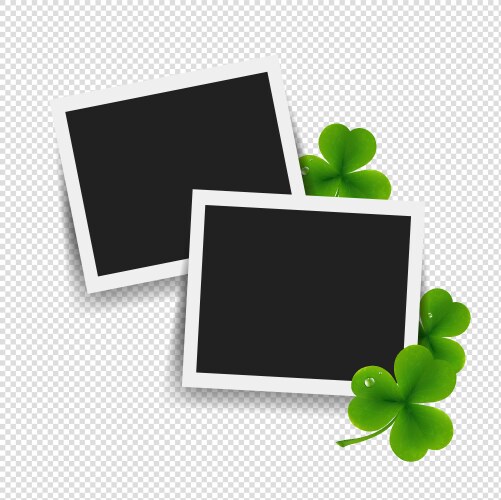 Photo with clover transparent background vector image