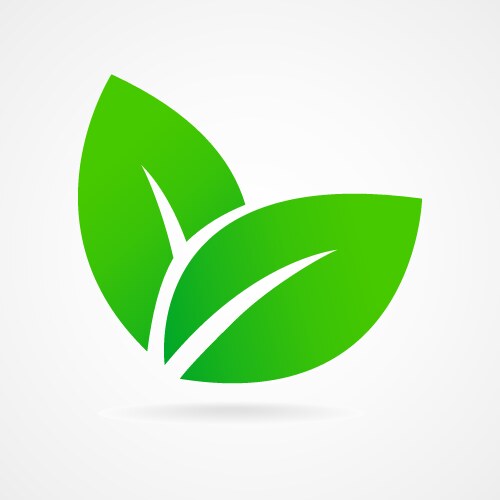 Green leaf icon graphic design template Royalty Free Vector