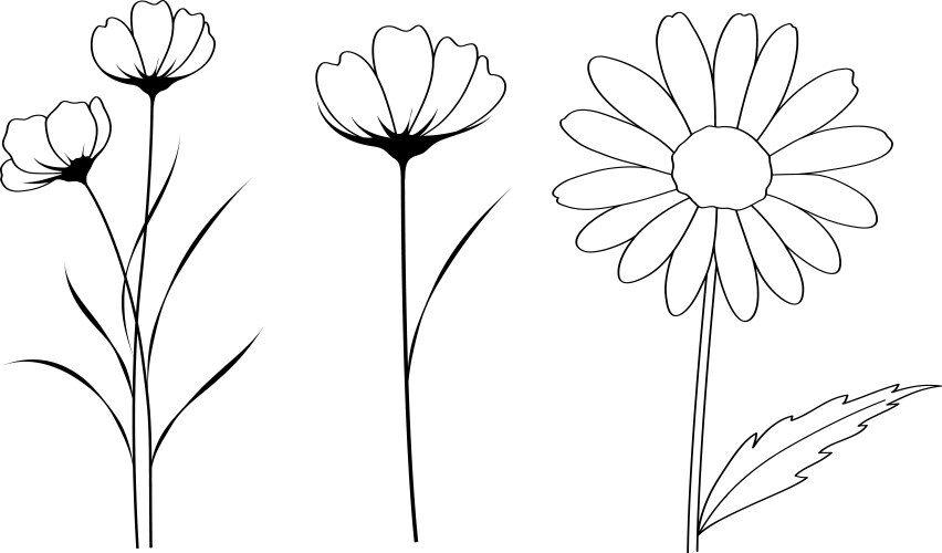 Printwild flower outline drawing coloring page Vector Image