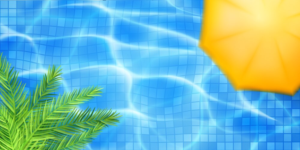 Swimming pool top view Royalty Free Vector Image
