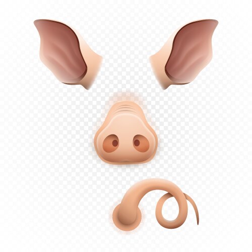 Cute pig ears tail and nose or piglet 2019 vector image