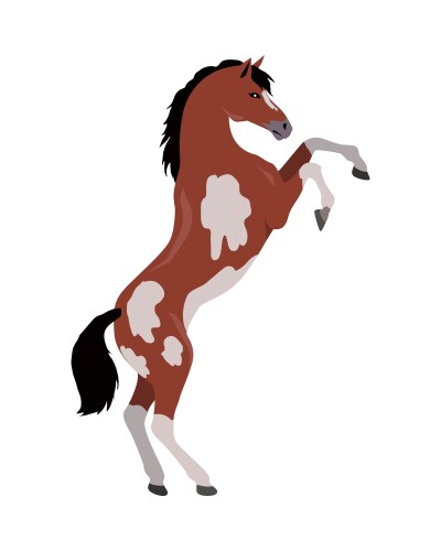 Pinto Horse Standing Tall Vector Image