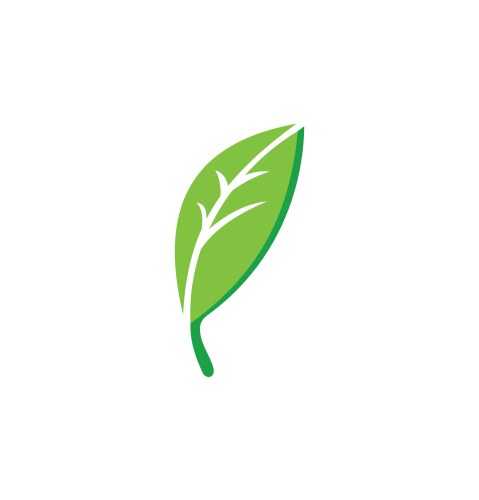 Green tea leaf icon Royalty Free Vector Image - VectorStock