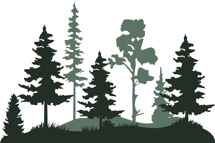 Lone Bear in Forest Royalty Free Vector Image - VectorStock