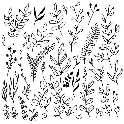 Hand drawn floral set with leaves flowers Vector Image