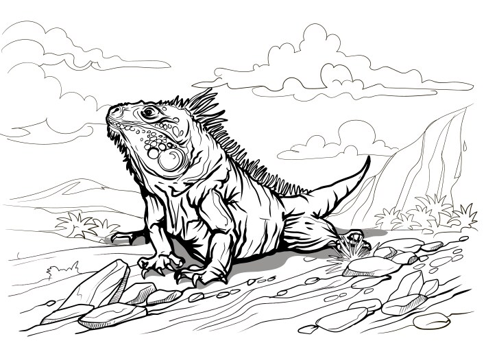 Colorful Iguana Coloring Page Vector Image