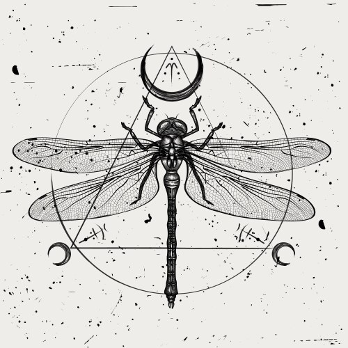 Sacred Dragonfly Geometry Vector Image