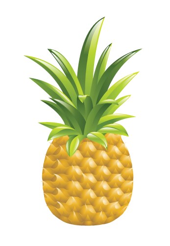 Pineapple tropical fruit icon Royalty Free Vector Image