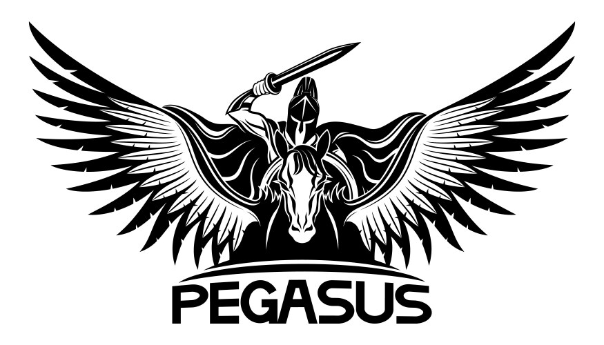 Pegasus Warrior Vector Image