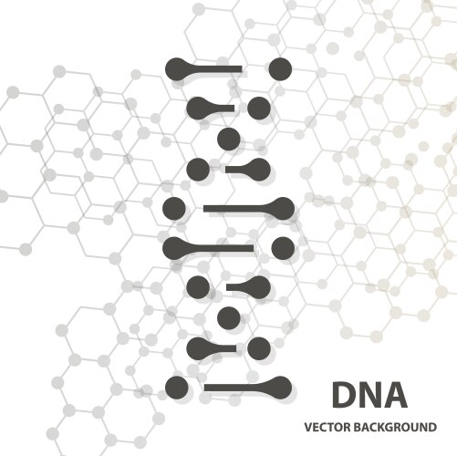 Dna sequence shiny background science eps10 vector image