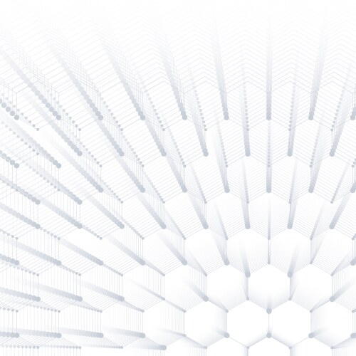 Abstract hexagonal white netting Royalty Free Vector Image