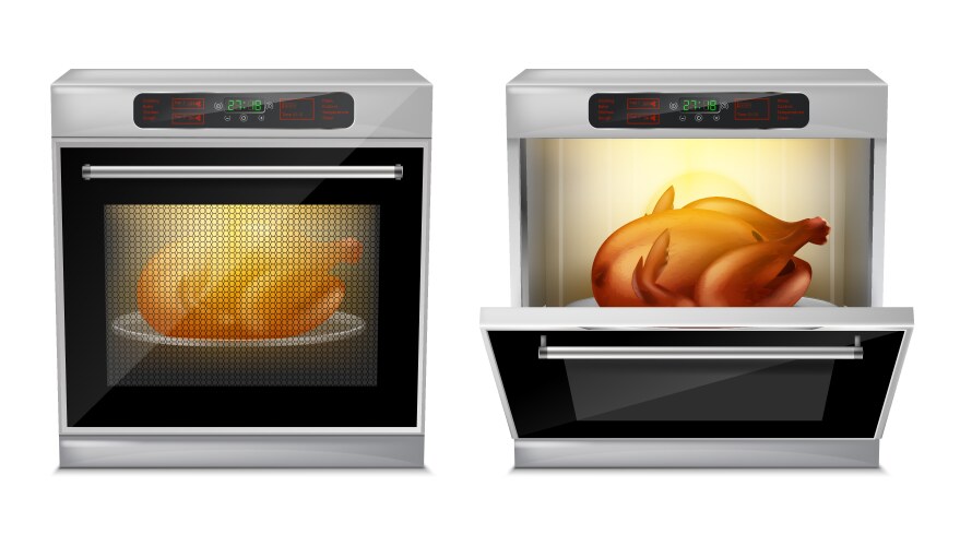 Modern Oven with Turkey Vector Image