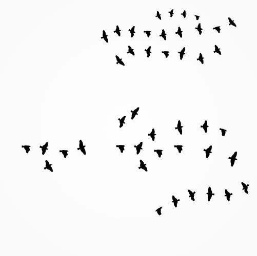 Birds Flying South Vector Image