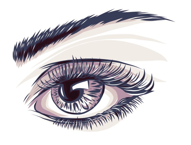 Beautiful eyes Royalty Free Vector Image - VectorStock