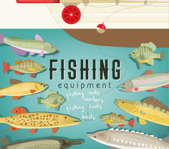 fishing equipment vector