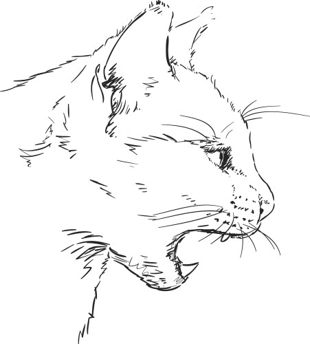 Evil cat sketch hand drawn Vector Image