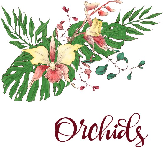 Orchid Floral Frame Vector Image