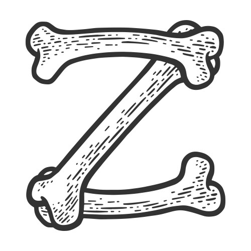 Z Bone Sketch - Anatomical Letter Vector Image