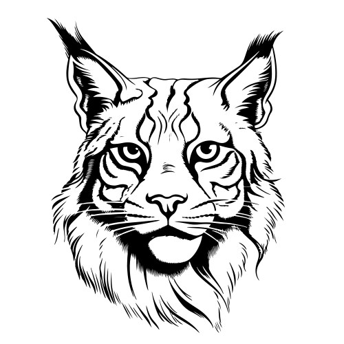 lynx face hand drawn sketch vector