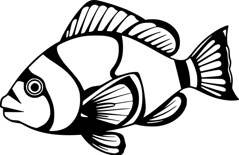 Clownfish Artwork Vector Image