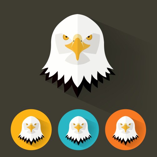 Bald eagle head Royalty Free Vector Image - VectorStock