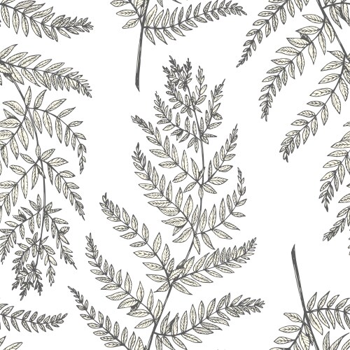 Botanical seamless pattern with meadow herbs Vector Image