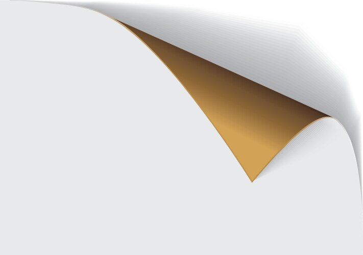 Page curl with shadow on a blank sheet of paper vector image