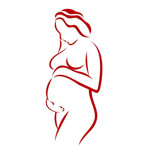 Pregnant woman Vector Image