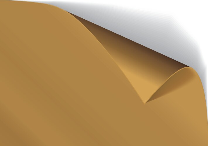 Page curl with shadow on a blank sheet of paper vector image