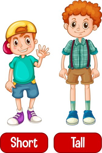 https://cdn.vectorstock.com/i/500p/48/93/short-vs-tall-adjectives-vector-39374893.jpg