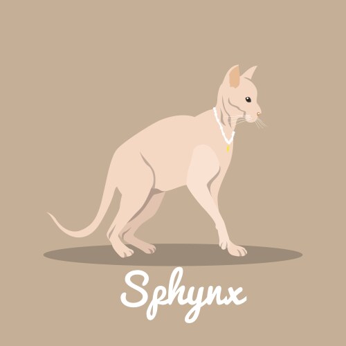 Sphynx cat with necklace design Vector Image