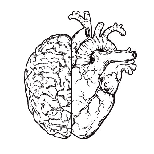 Brain and Heart - Logic & Emotion Vector Image