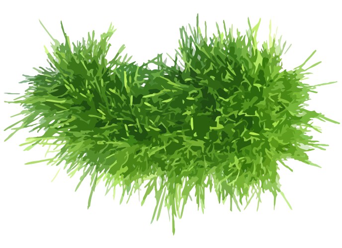 Realistic green grass lawn Royalty Free Vector Image