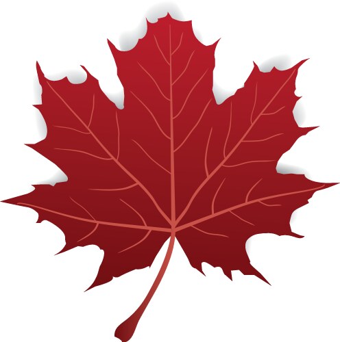 Maple leaf icon Royalty Free Vector Image - VectorStock