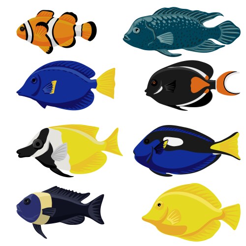 Drawing tropical fishes Vector Image