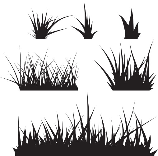 grass vector image