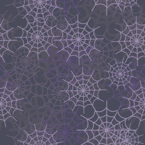 Intricate Spiderweb Pattern vector image