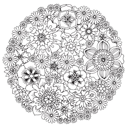 Floral Circle Coloring Page Vector Image