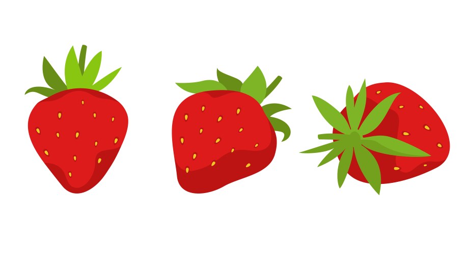 Red berry strawberry and a half Royalty Free Vector Image