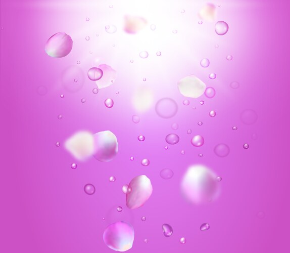 Pink background of water drops Royalty Free Vector Image