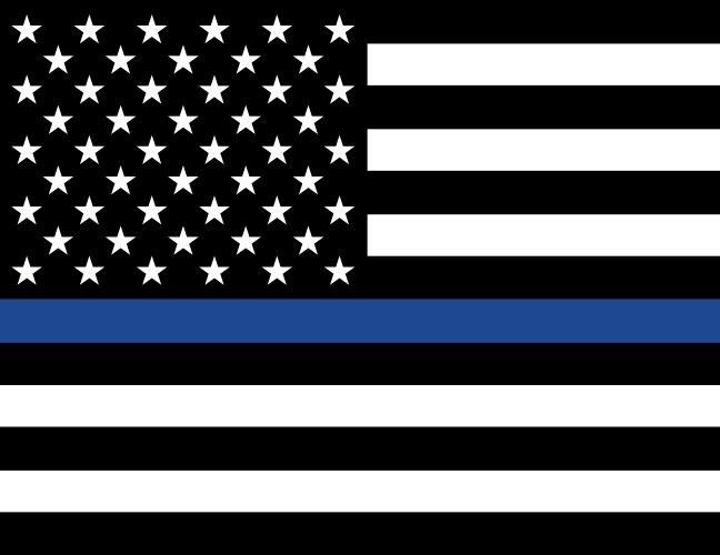 Police law enforcement american flag vector image