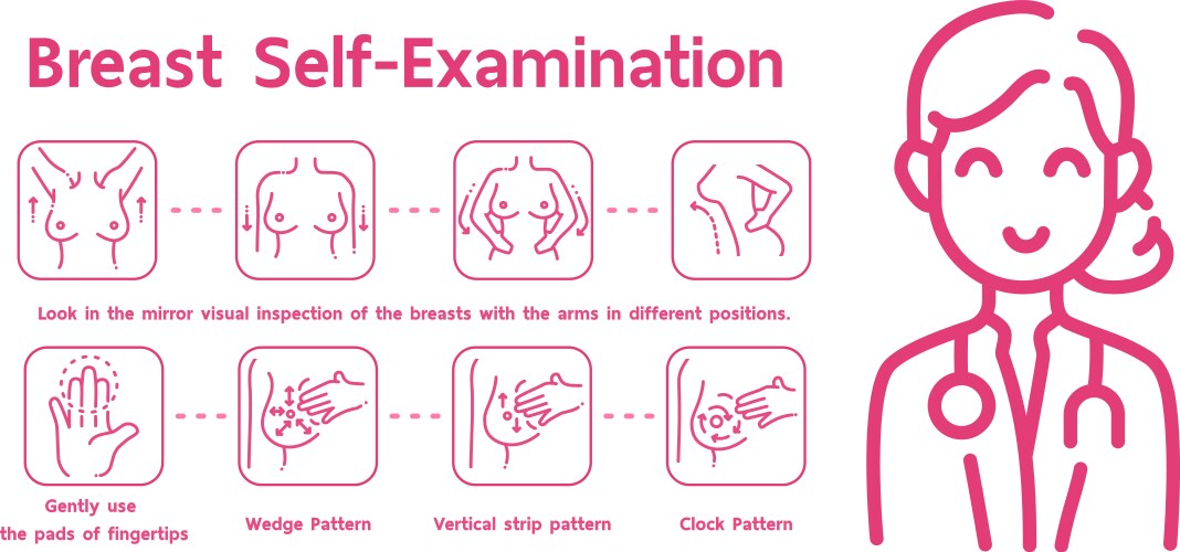 breast self examinationhow to do vector image