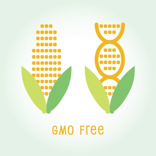 Genetically modified organisms gmo free emblem vector image