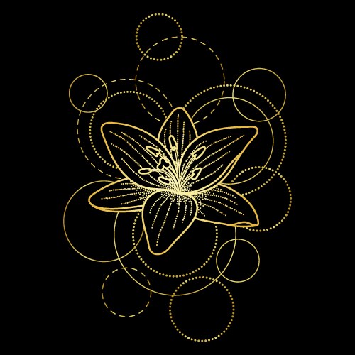 Tattoo with lily and circles on black background Vector Image