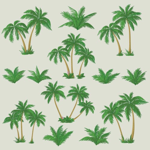 Palm trees Royalty Free Vector Image - VectorStock