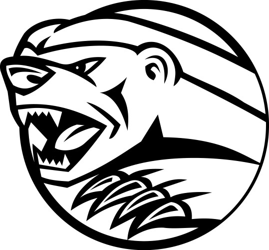 Angry Honey Badger Mascot Vector Image